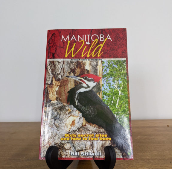 Manitoba Wild